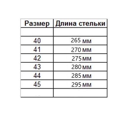 Кросівки літні чоловічі LORIMAS сітка Синьо-білі